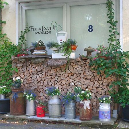 Ferienhaus Napoleon Waldmuenchen Ngoại thất bức ảnh