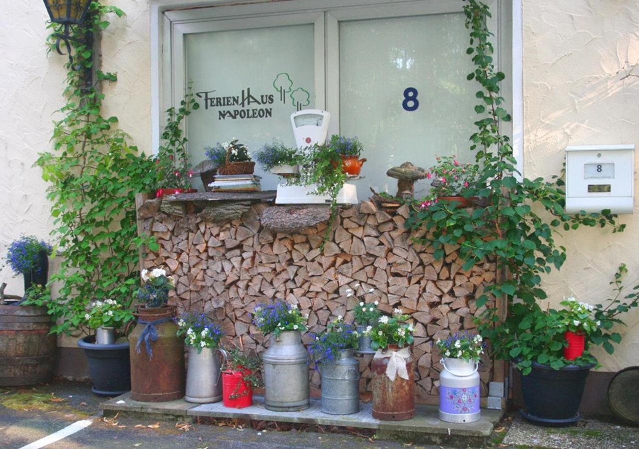 Ferienhaus Napoleon Waldmuenchen Ngoại thất bức ảnh