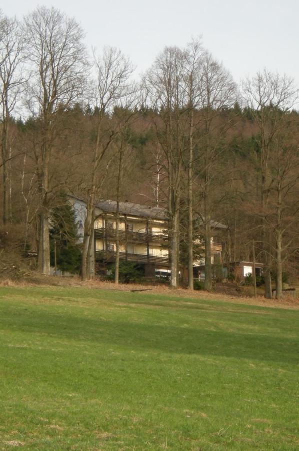 Ferienhaus Napoleon Waldmuenchen Ngoại thất bức ảnh